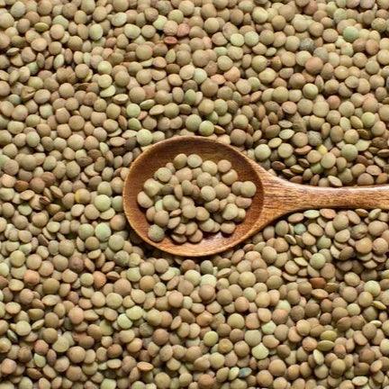 Yeşil Mercimek Organik ( 1 Kg)