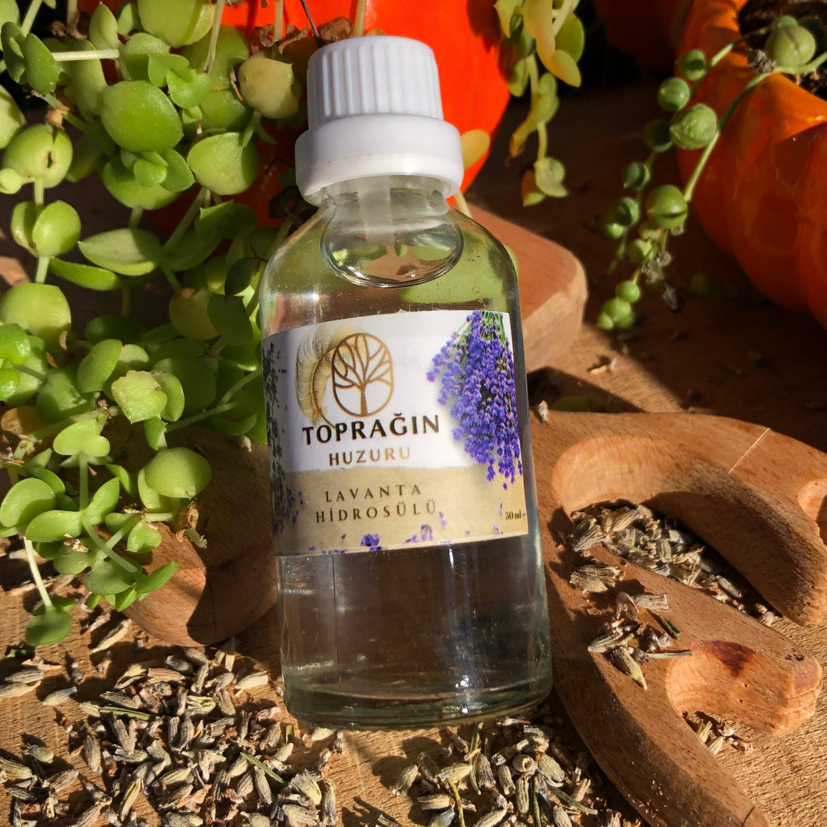Lavanta Hidrosülü  ( 50 ml )