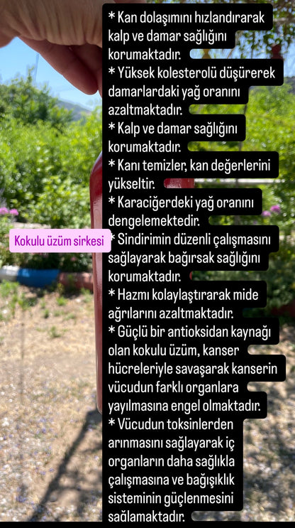 Kokulu üzüm sirkesi