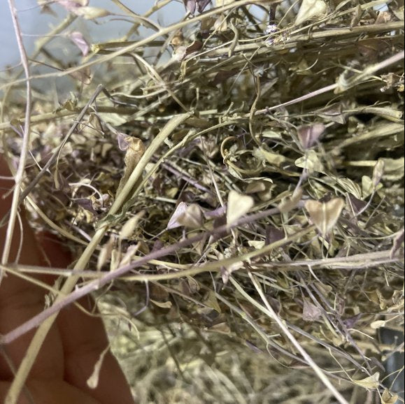 Çoban Çantası Otu  Kurusu ( 50 Gram )