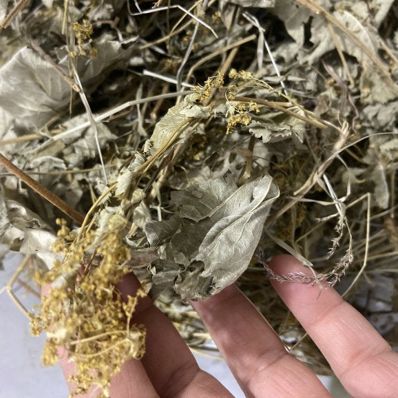 Testere Dişli Aslan Pençesi Otu ( 40  Gram )