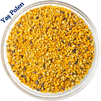 Yaş Polen ( 100 Gram )